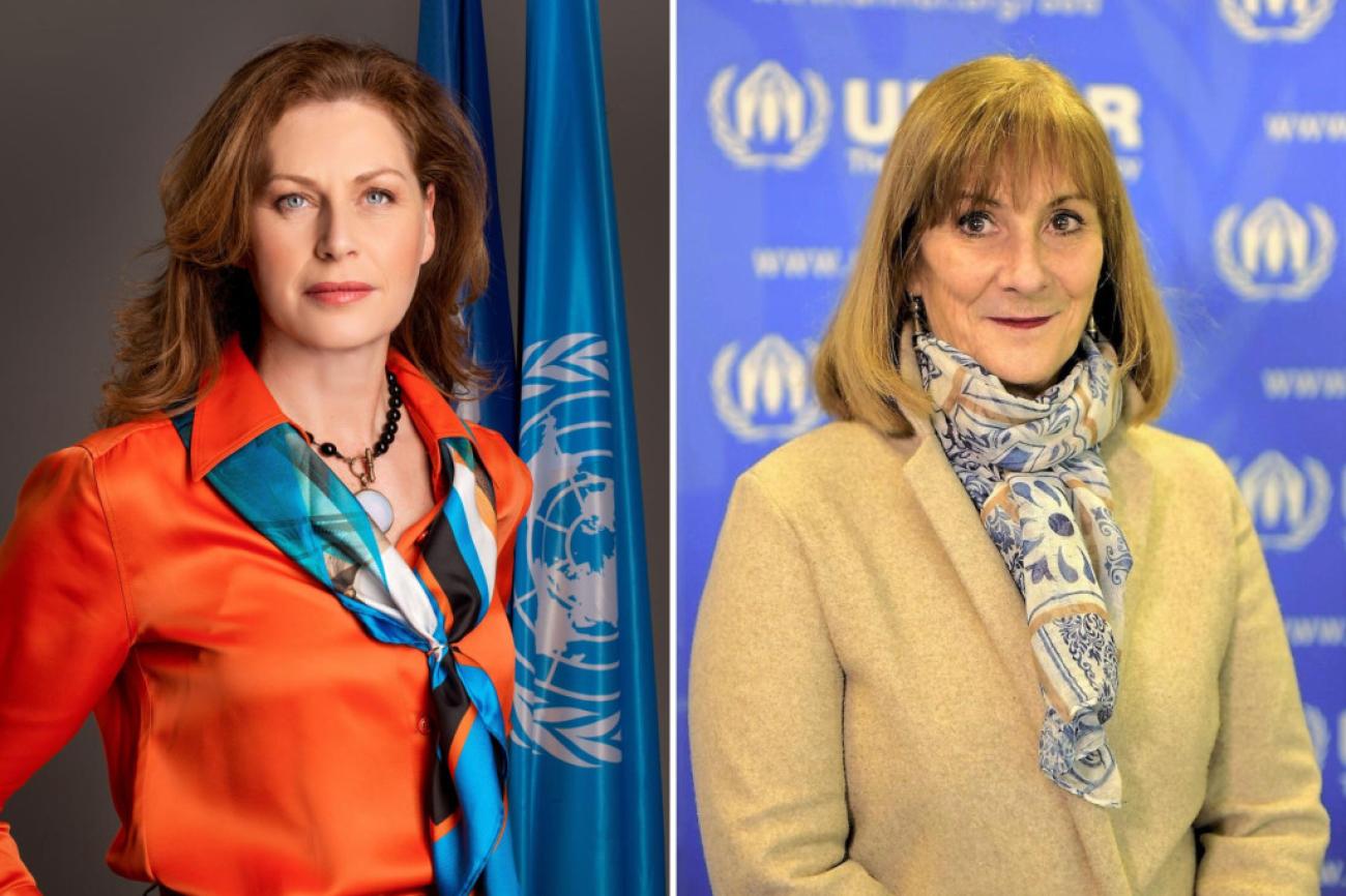 With timely actions and political will, Bosnia and Herzegovina could be